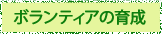 ボランティアの育成 